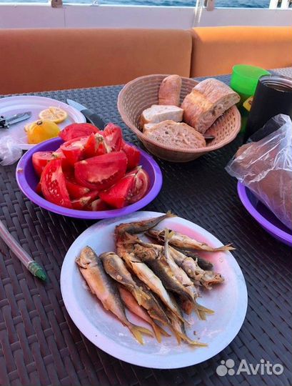 Рыбалка с пикником в черном море