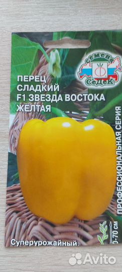 Рассада перца