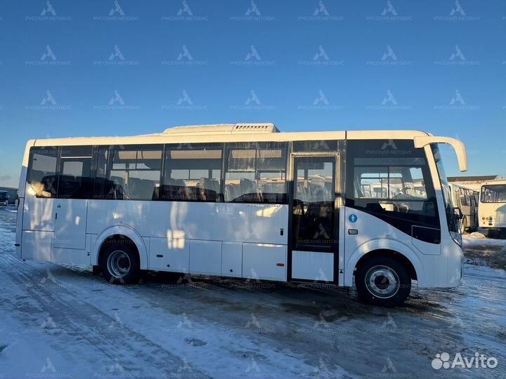 Междугородний / Пригородный автобус ПАЗ 320455-04, 2024