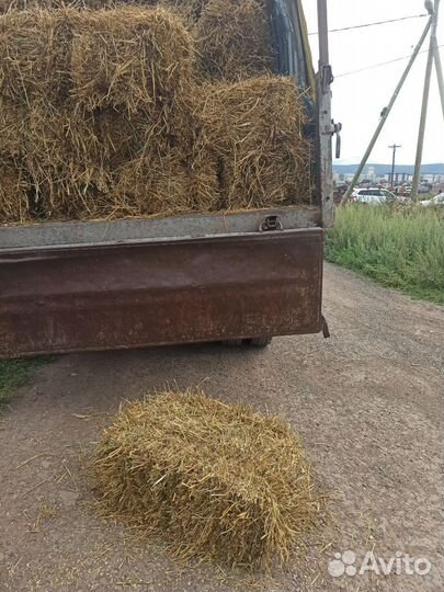 Сено солома в тюках