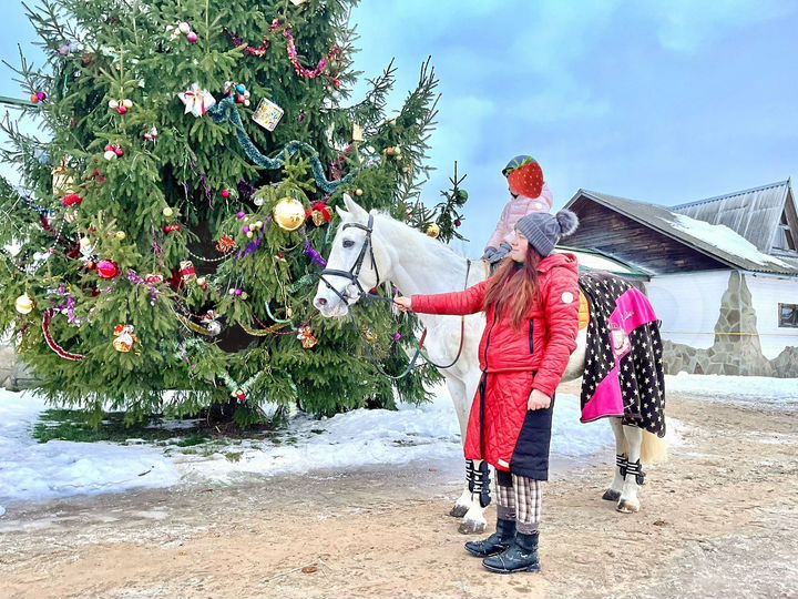 Дом 120 м² на участке 6 сот.