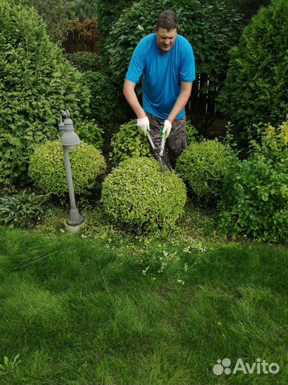 Обрезка деревьев, кустарников, удаление