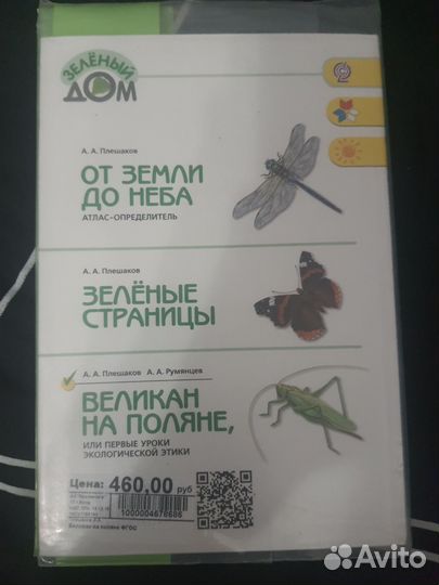 Книга Великан на поляне А.А.Плешаков А. А.Румянцев