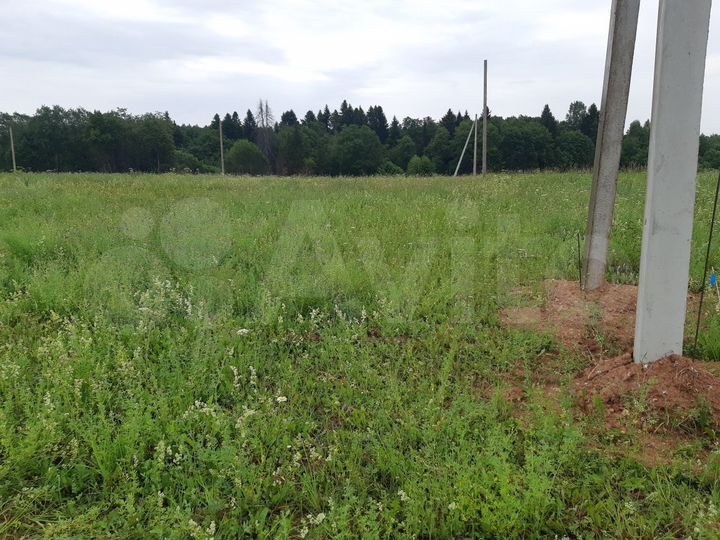 Участок 10 сот. (ИЖС)