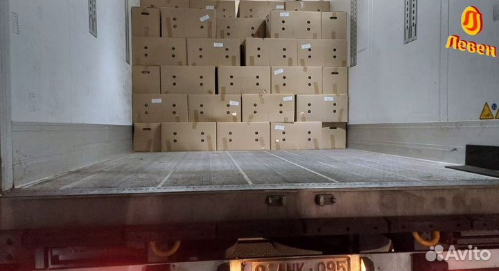 Инкубационное яйцо бройлера из Европы