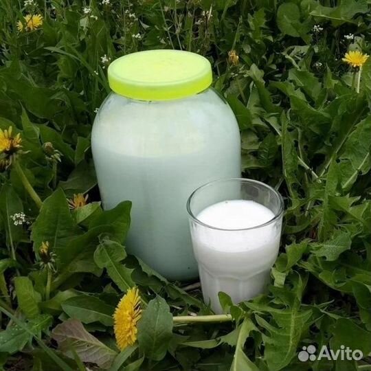 Козье молоко