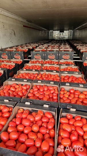 Овощи и фрукты