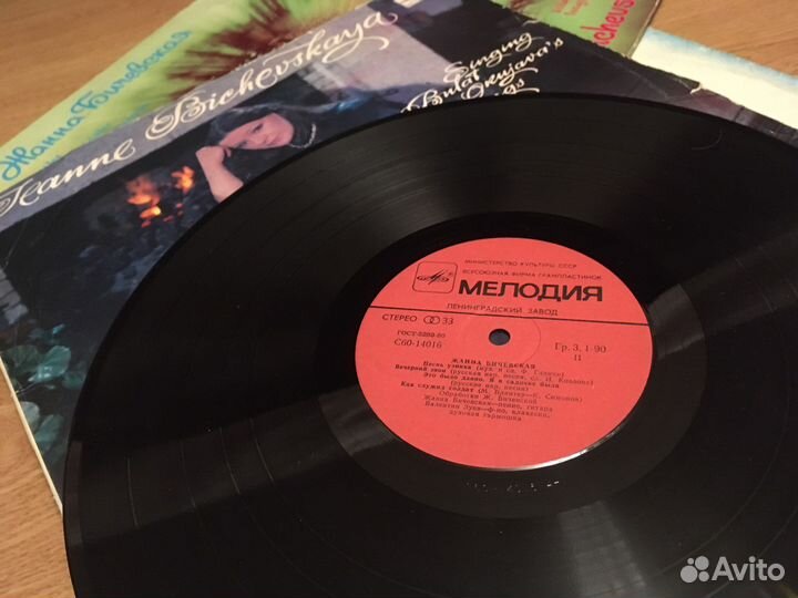 Пластинки виниловые. Жанна Бичевская