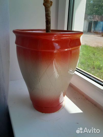 Керамические горшки для цветов бу