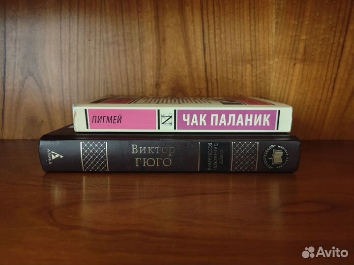 Паланик, Гюго