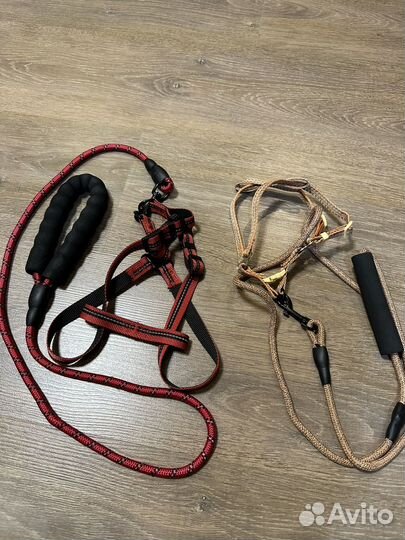 Поводок со шлейкой для маленьких собачек и щенков