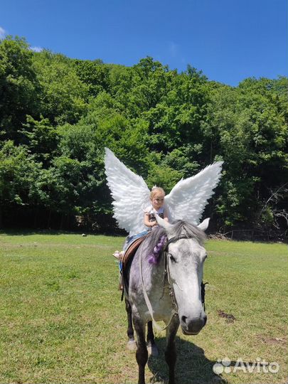 Крылья ангела