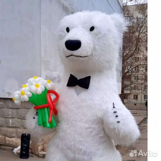 Поздравление от Белого Медведя и весёлой Панды