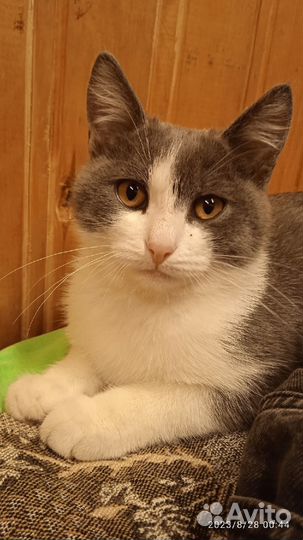 Фима - лучший друг