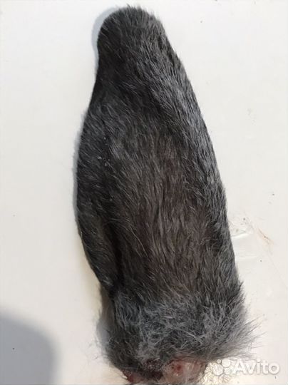 Кроличьи ушкки, лапки и хвостики замороженные