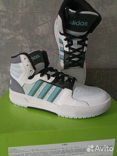 Кроссовки adidas Sportswear Entrap Mid