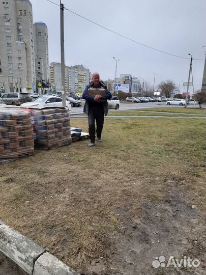 Скосить траву на участке спил деревьев