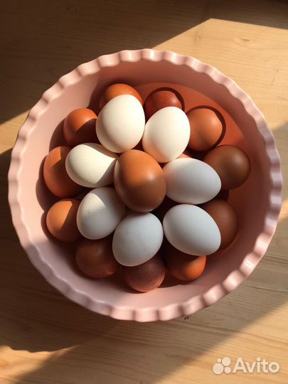Домашние куриные яйца
