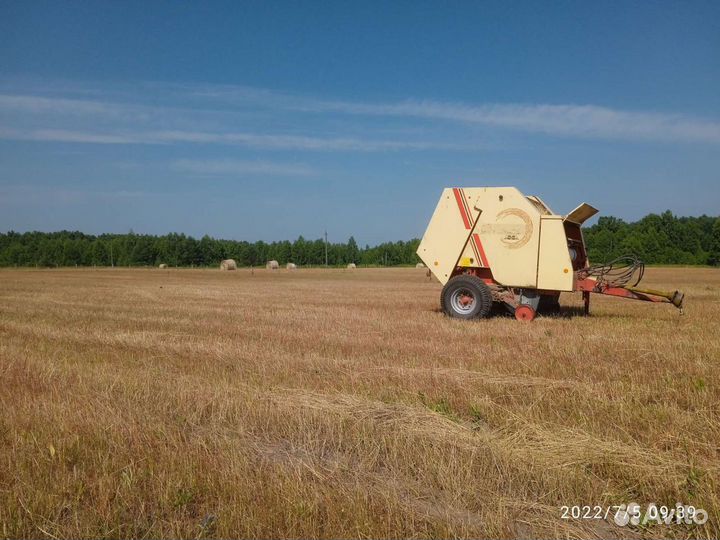 Сено в рулонах 2022