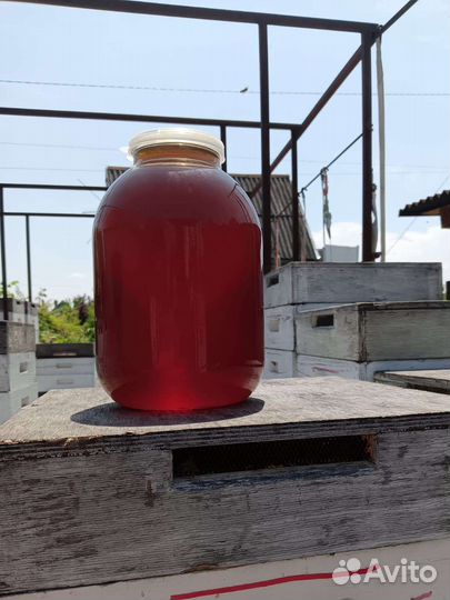 Мёд черноклен боярышник (сбор май 2023г)