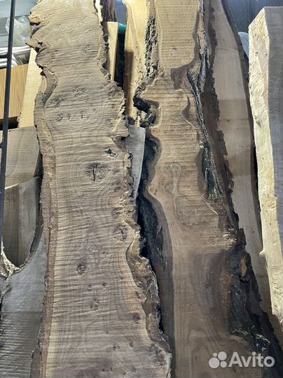 Каповый слэб, спил, кап карагач