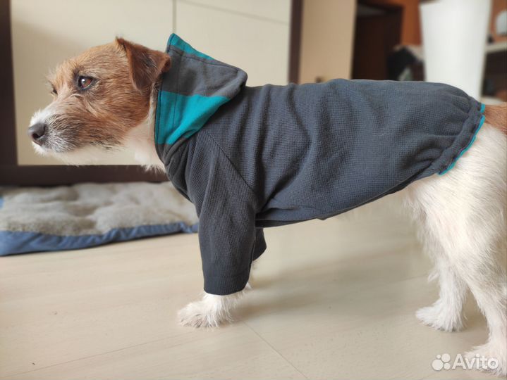 Одежда для собак двухсторонняя