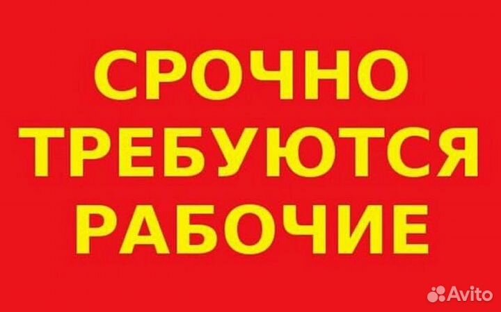 Разнорабочие на производство/без опыта