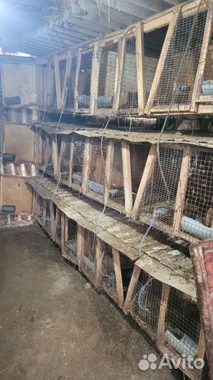 Клетка для домашнего кролика