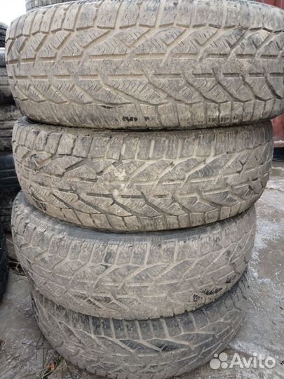 Tigar Winter 185/60 R15 88T