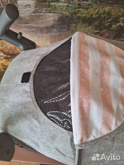 Прогулочная коляска Rant Cosmic