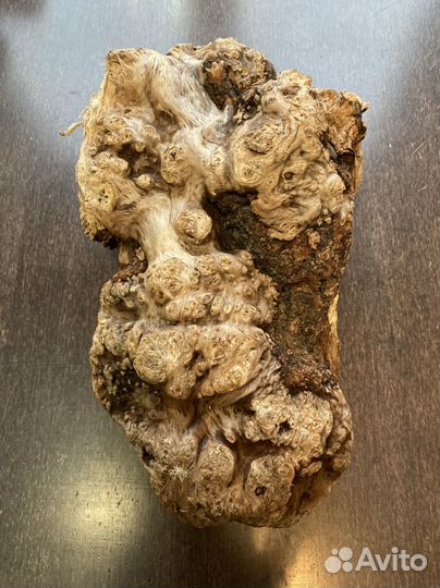 Дрифтвуд -морская коряга