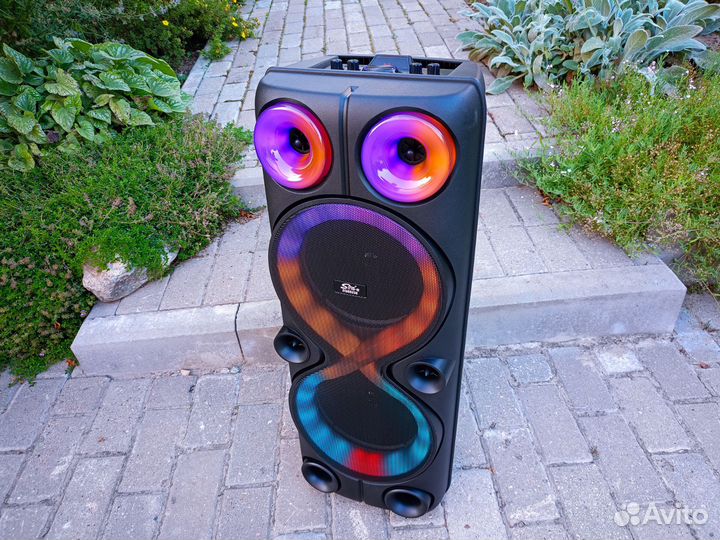 Блютуз колонка большая 2 микрофона