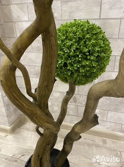 Самшит. Искусственное дерево. Интерьер