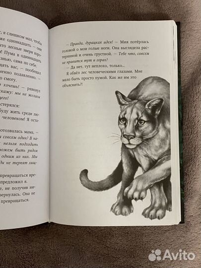 Книга «Дети леса» Катя Брандис