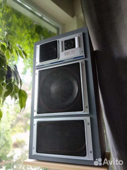 Акустическая система