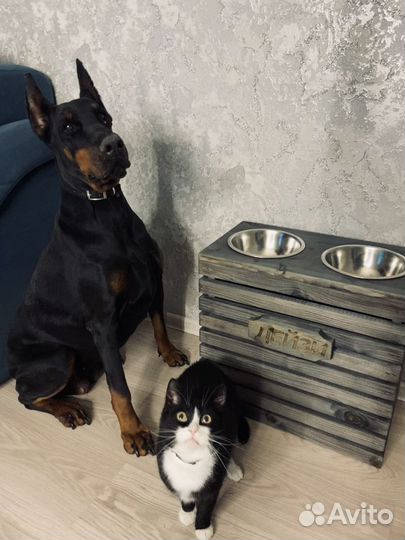 Подставка для мисок, миски для собак