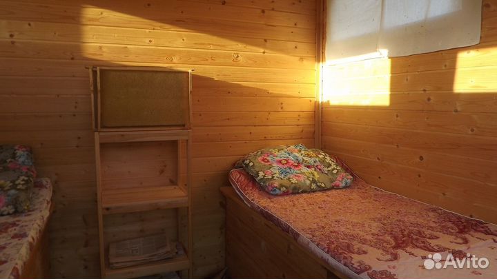 Продам пчелопакеты