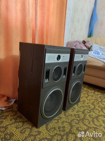 Колонки Вега 25ас 109-2