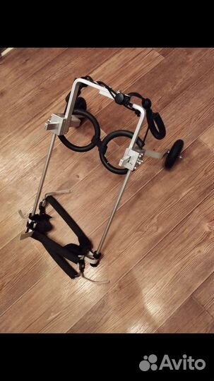 Коляска для собаки иннвалида