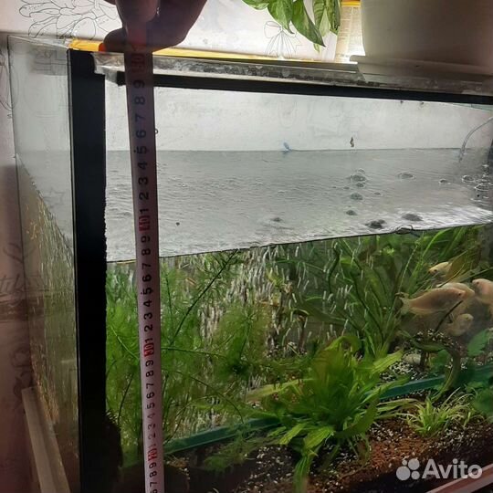 Аквариум