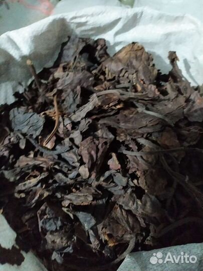 Травы Алтая оптом