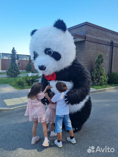 Панда Кексик