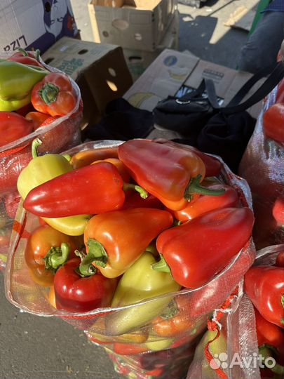 Перец сладкий