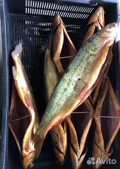 Омуль холодного копчения