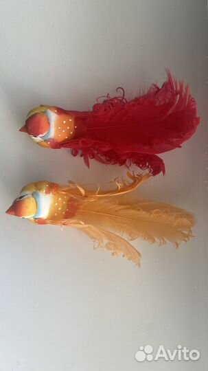 Птички декоративные