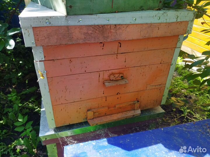 Продаю улья
