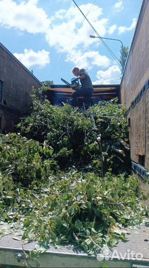 Грузоперевозки 5 тонн верх открывается