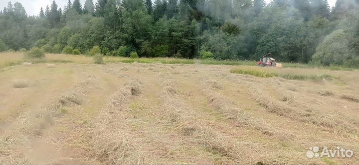 Сено в рулонах