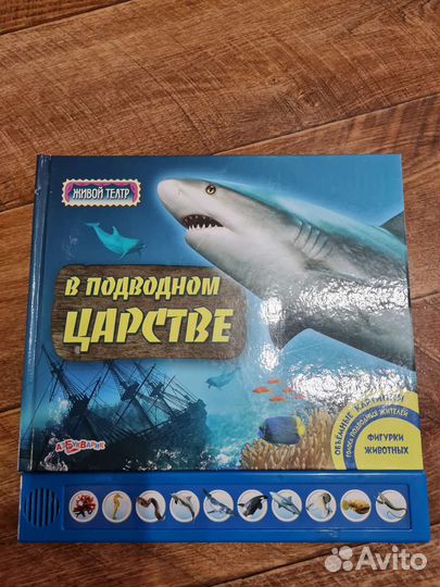 Музыкальные книги и книги-панорамы