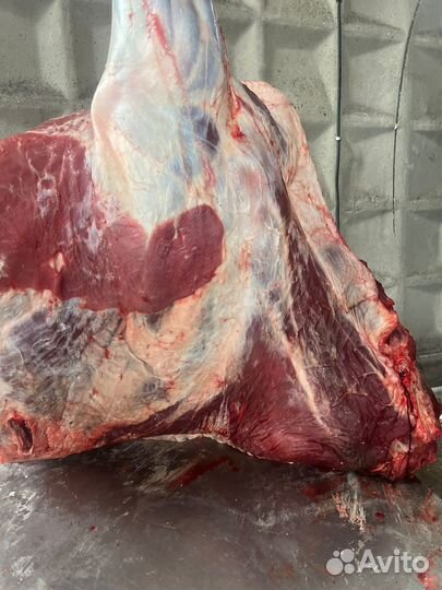 Мясо свинина, говядина, конина, телятина деревенск